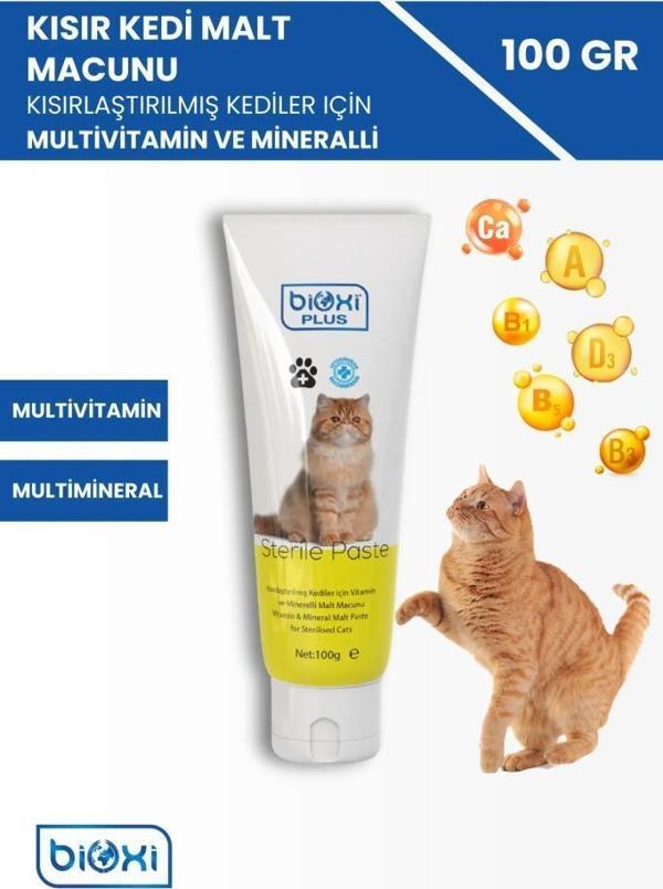 Bioxi Plus Sterile Paste 100 Gr SKT : 05/2027 - Image 1