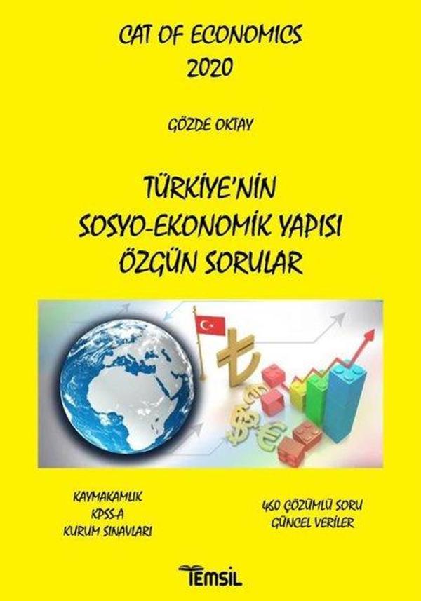 Cat of Economics - Türkiye'nin Sosyo - Ekonomik Yapısı Özgün Sorular - Temsil Kitap - Image 1