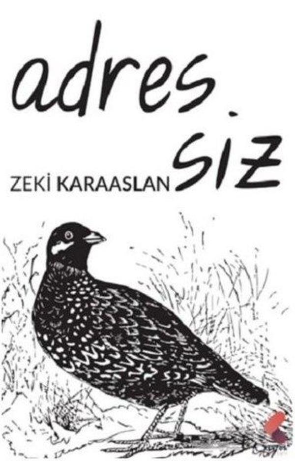 Adressiz - Klaros Yayınları - Image 1