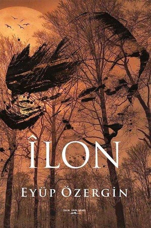 İlon - Sokak Kitapları Yayınları - Image 1