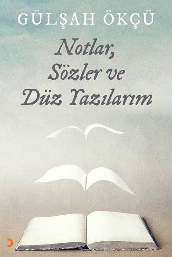 Notlar Sözler ve Düz Yazılarım - Cinius Yayınevi - Image 1