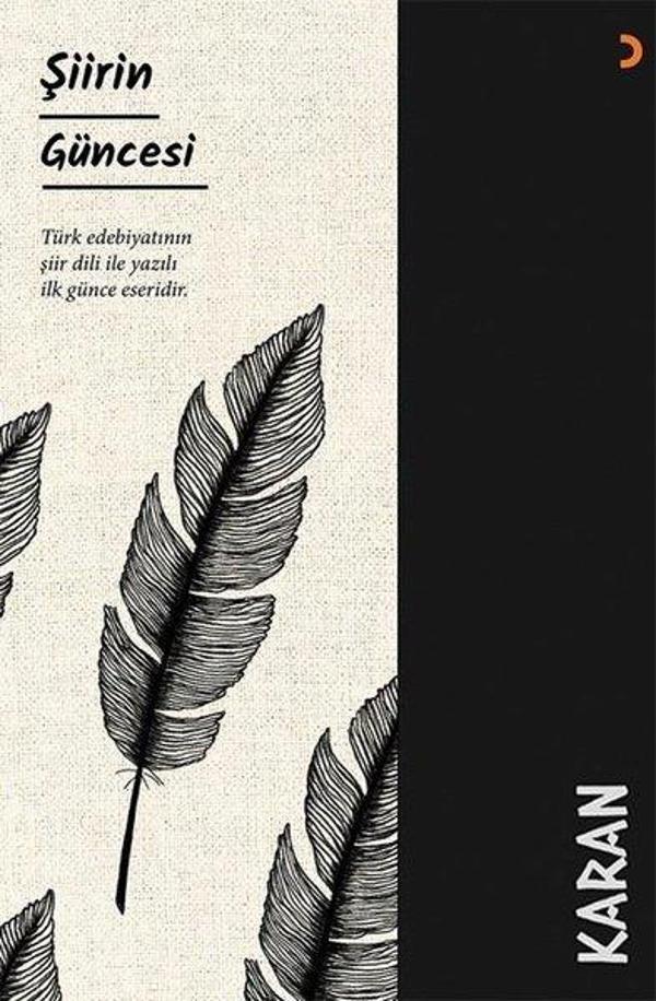 Şiirin Güncesi - Cinius Yayınevi - Image 1