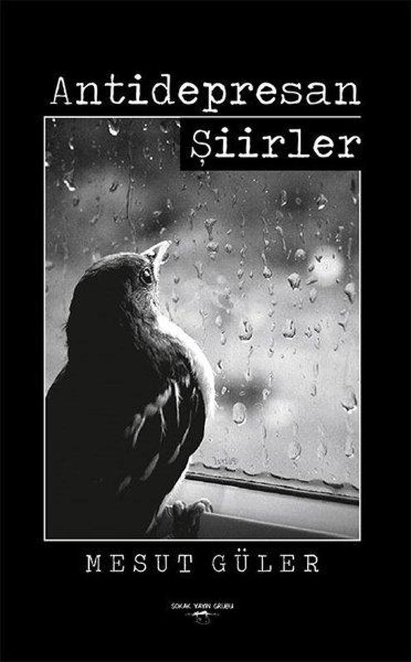 Antidepredan Şiirler - Sokak Kitapları Yayınları - Image 1