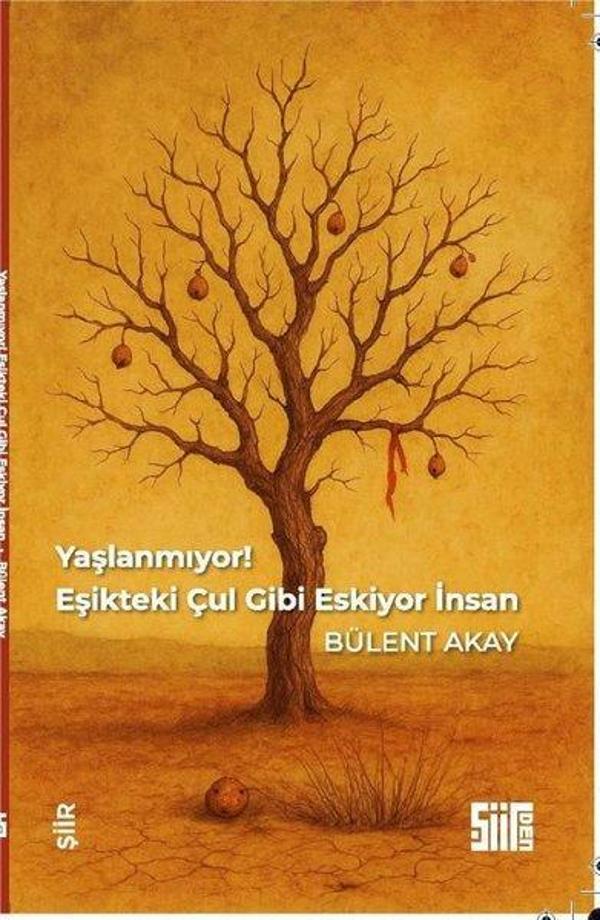 Yaşlanmıyor! Eşikteki Çul Gibi Eskiyor İnsan - Şiirden Yayınları - Image 1