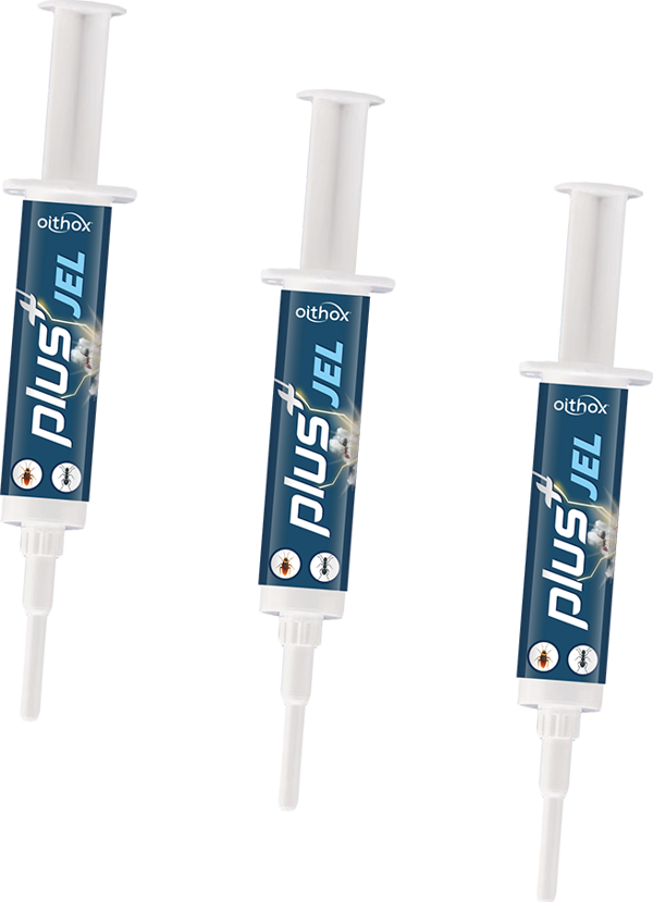 Oithox Plus Hamam Böceği, Karınca Yemi, İlacı, Jeli 5 gr X 3 (90 Gün Kalıcı Etki) - Image 1