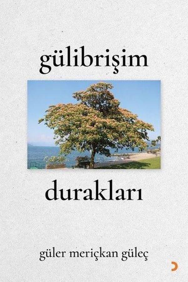 Gülibrişim Durakları - Cinius Yayınevi - Image 1