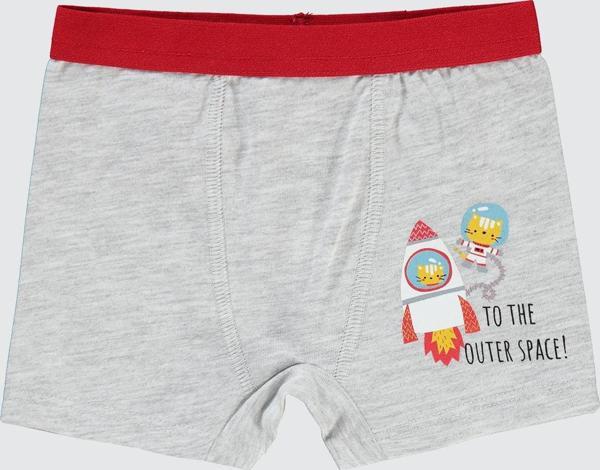 Civil Boys Erkek Bebek Boxer 9-18 Ay Boxer  Gri - Image 1