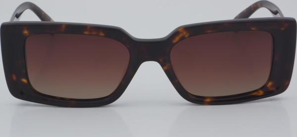 BLANCIA GÜNEŞ BC 1155 C2 53 - 01 Güneş Gözlüğü - Image 1