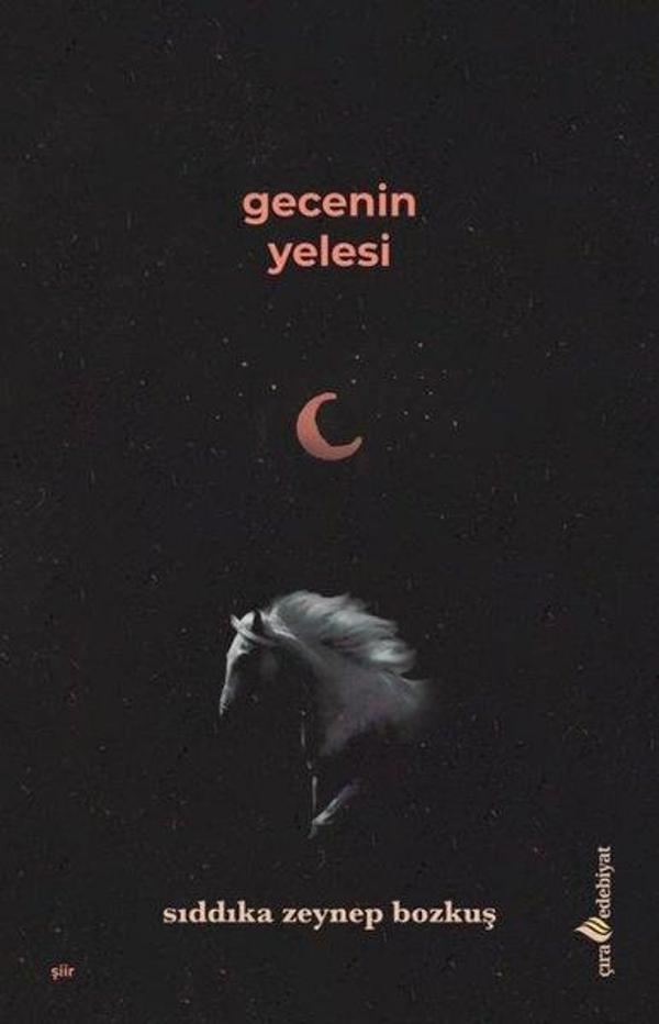 Gecenin Yelesi - Çıra Yayınları - Image 1