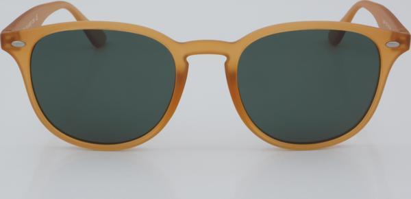 SWING GÜNEŞ SS 244 C290 51 - 01 Güneş Gözlüğü - Image 1