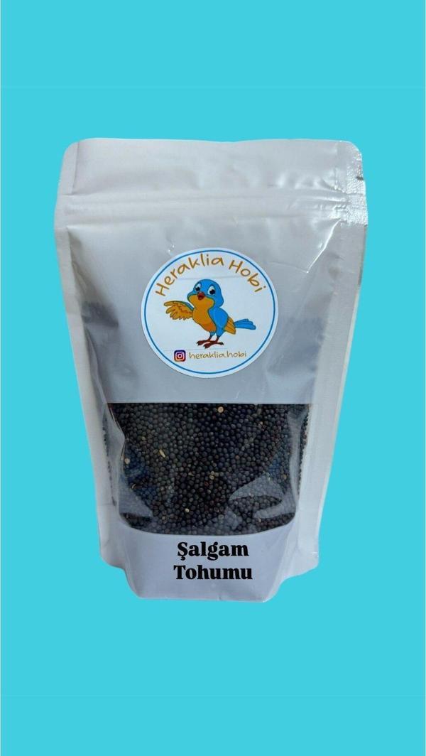Heraklia Hobi Şalgam Tohumu - Image 1