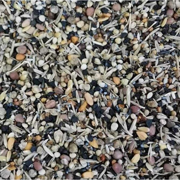 Natural King Yabani Sağlık Tohumu 500Gr - Image 1