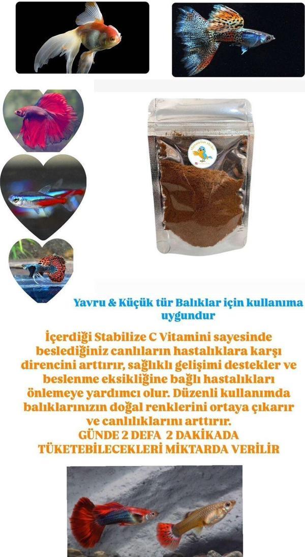 Heraklia Hobi Yavru Balık Büyütme Yemi, Ekstra Protein, Spirulina Ve Artemialı 50 Gram - Image 1