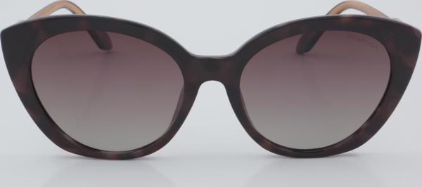 DESPADA GÜNEŞ DS 1946 C1 55 - 01 Güneş Gözlüğü - Image 1