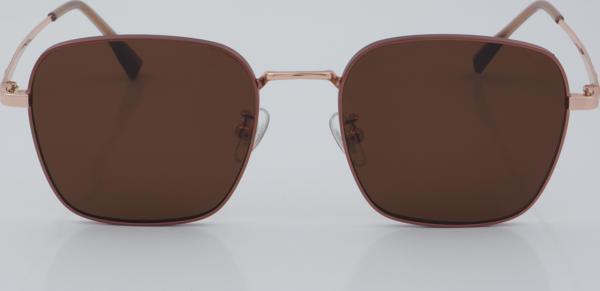 SWING EXCLUSIVE GÜNEŞ SE 77020 C4 52 - 01 Güneş Gözlüğü - Image 1