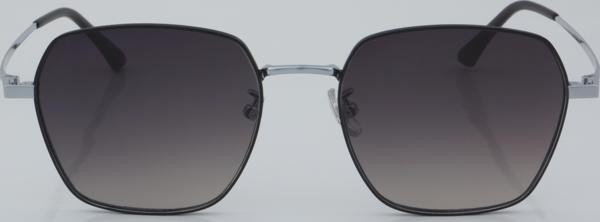 SWING EXCLUSIVE GÜNEŞ SE 77068 C2 53 - 01 Güneş Gözlüğü - Image 1