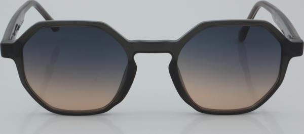 SWING EXCLUSIVE GÜNEŞ SS 336 01 50 - 01 Güneş Gözlüğü - Image 1