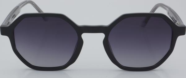 SWING EXCLUSIVE GÜNEŞ SS 336 02 50 - 01 Güneş Gözlüğü - Image 1