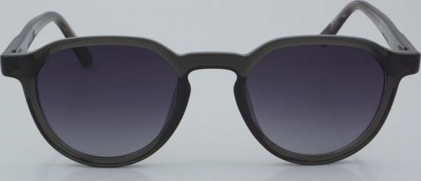 SWING EXCLUSIVE GÜNEŞ SS 338 01 49 - 01 Güneş Gözlüğü - Image 1