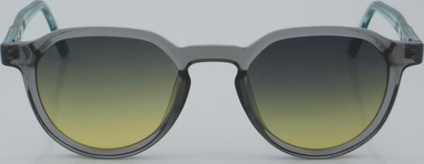 SWING EXCLUSIVE GÜNEŞ SS 338 08 49 - 01 Güneş Gözlüğü - Image 1