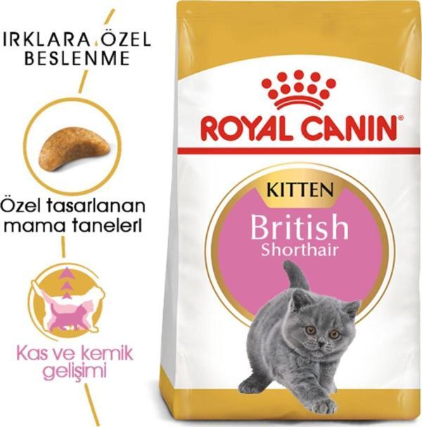 British Shorthair Için Yavru Kedi Maması 2kg - Image 1
