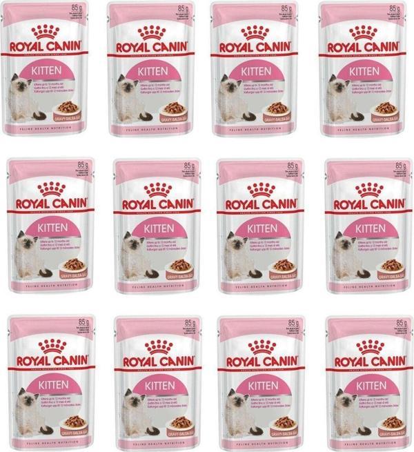 Gravy Yavru Kedi Yaş Mama 85 Gr. X 12 Adet - Image 1