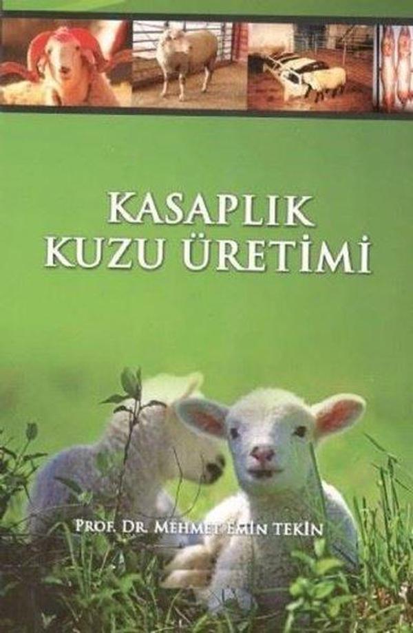 Kasaplık Kuzu Üretimi - Atlas Nobel - Image 1