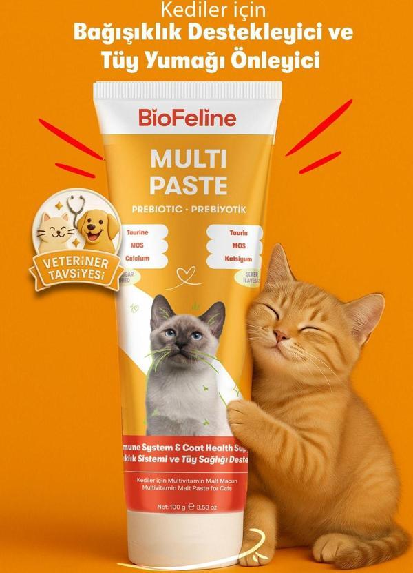 Biofeline Kediler İçin Bağışıklık Destekleyici Ve Tüy Yumağı Önleyici Multivitamin Macun – 100G - Image 1
