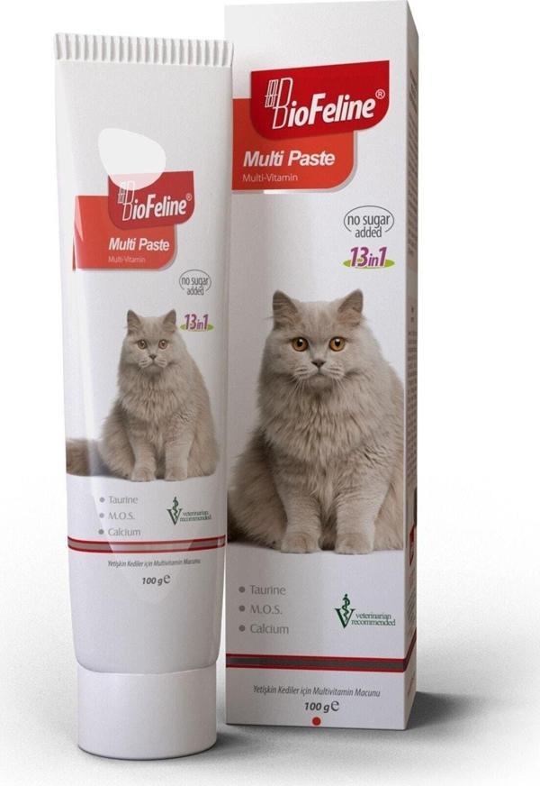 Petzanya Biofeline Multi Paste 100 Gr. ( Kediler Için Multivitamin Macunu ) - Image 1