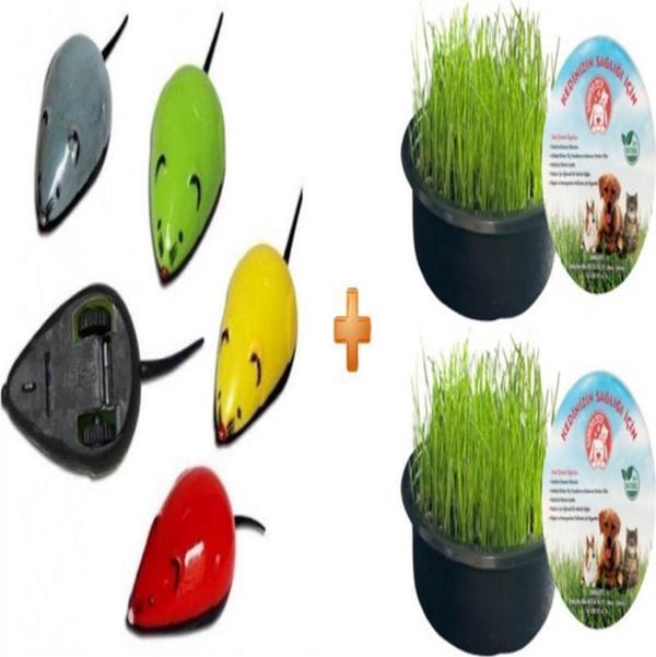 Sonrisa Pets Organik Kedi Çimi 2Li + Kurmalı Kedi Oyuncağı Çek Bırak Fare Renkli - Image 1