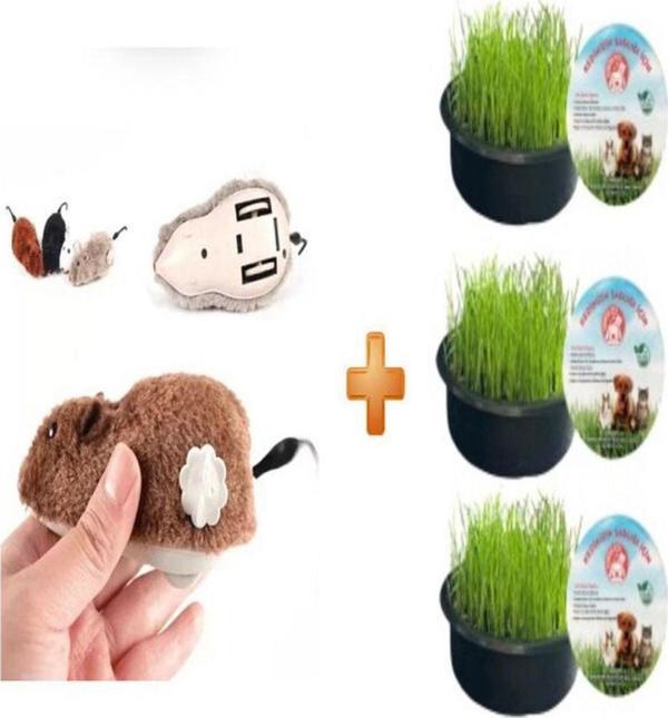 Sonrisa Pets Sonrisa Kurmalı Fare Kedi Oyuncağı Peluş Oyuncak + Organik Kedi Çimi 3 Lü - Image 1