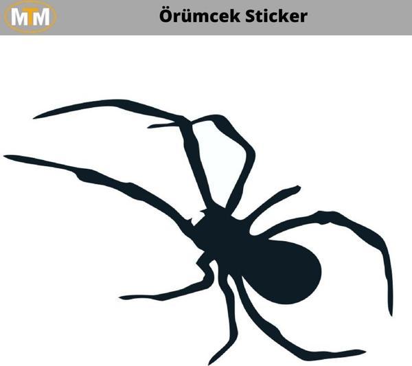 Örümcek Oto Sticker 15 CM - Image 1