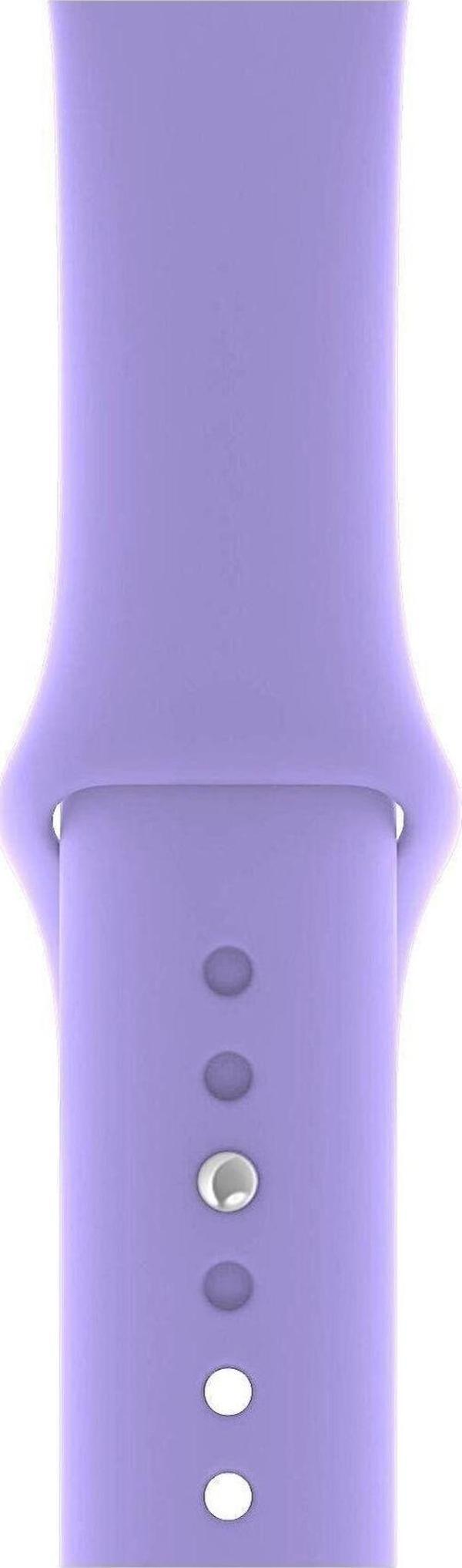 Apple Watch 2 3 4 5 6 7 Se Uyumlu 42 Mm A+ Kaliteli Silikon Kordon Lila - Image 1