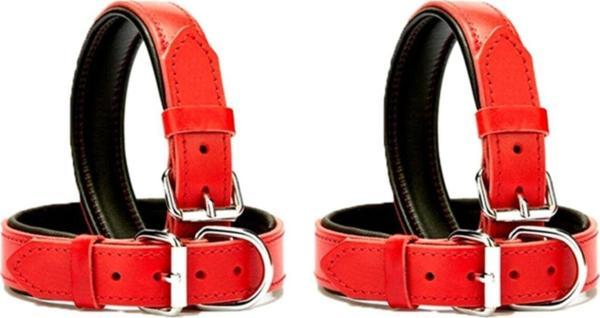 2li Deri Köpek Tasması 2,5x56 Cm Kırmızı - Image 1