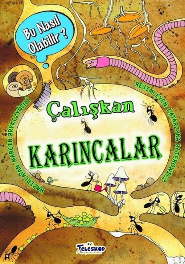 Çalışkan Karıncalar - Bu Nasıl Olabilir? - Teleskop Popüler Bilim - Image 1