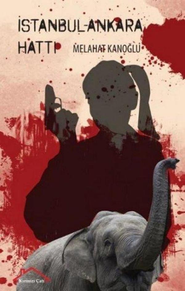 İstanbul - Ankara Hattı - Kırmızı Çatı - Image 1