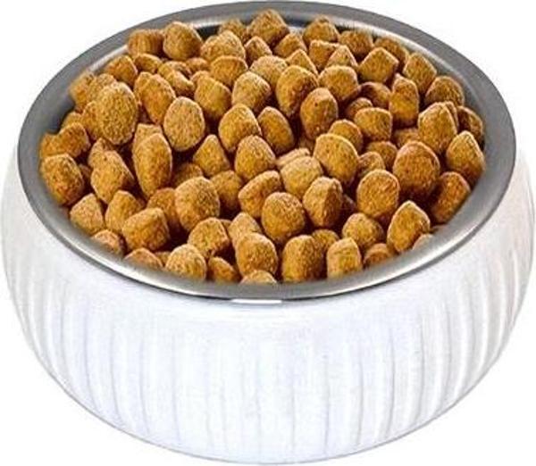 Mikopet Organik Seramik Mama Kabı Beyaz - Image 1