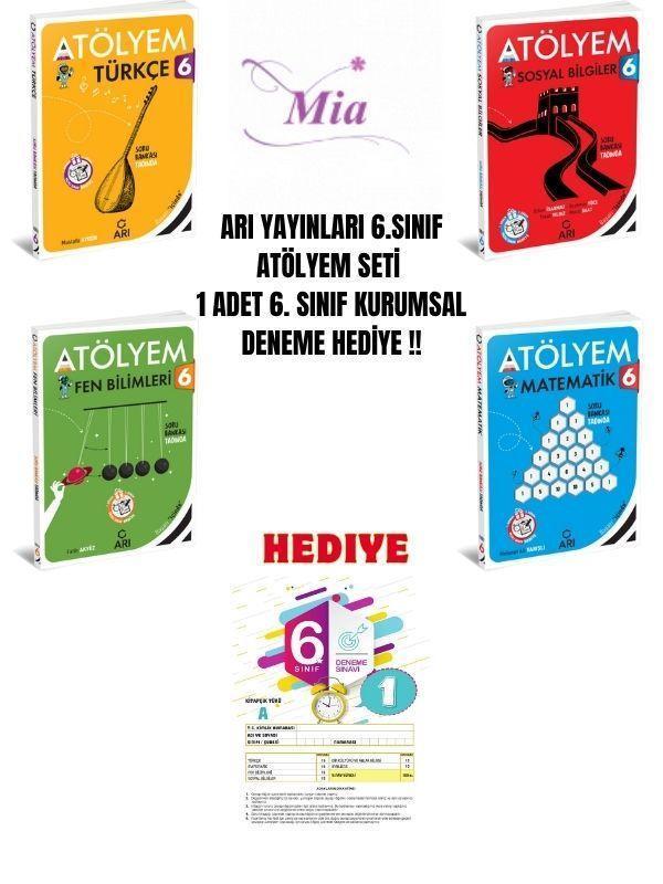 6.SINIF ARI ATÖLYEM SET - Image 1