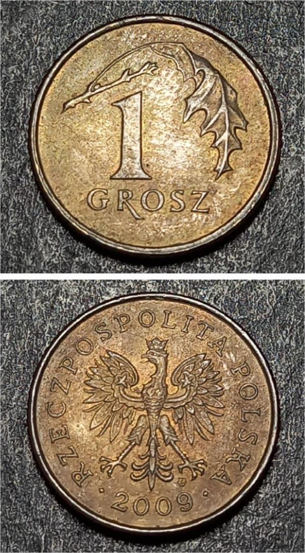 Escoines 39963688985b4ee151 2009 Polonya 1 Groszy ÇİL Para - Image 1