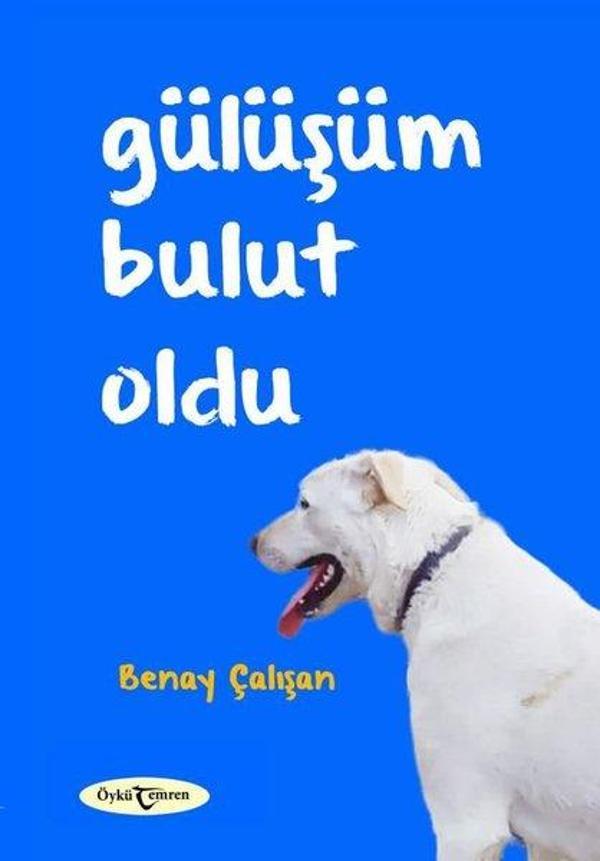 Gülüşüm Bulut Oldu - Temren - Image 1