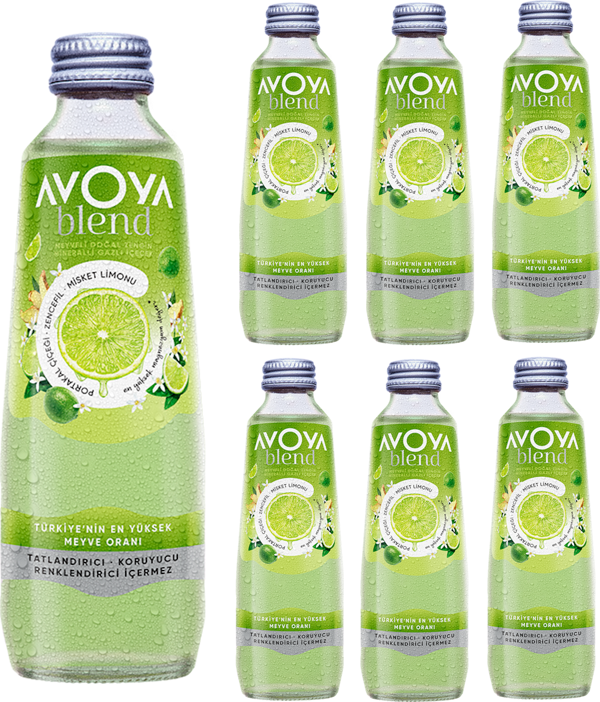 Avoya 6'lı Blend Misket Limonu Maden Suyu 250 Ml - Image 1