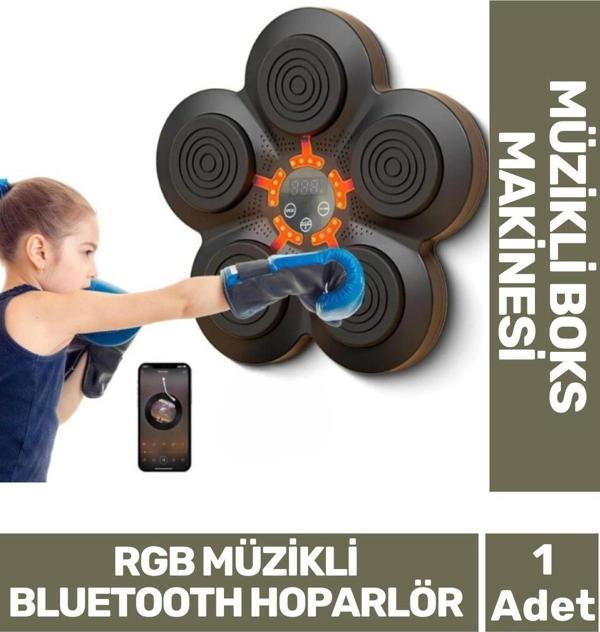 Özel Üretim Rgb Müzikli Bluetooth Hoparlör Genç Yetişkin Boks Egzersiz Müzikli Boks Makinesi - Image 1