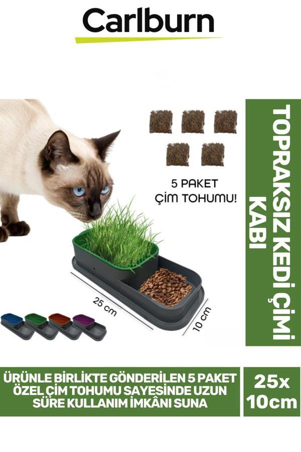 Özel Üretim 5 Adet Kedi Çimi Tohumu Topraksız Kedi Çimi Kabı 25x10cm - Image 1