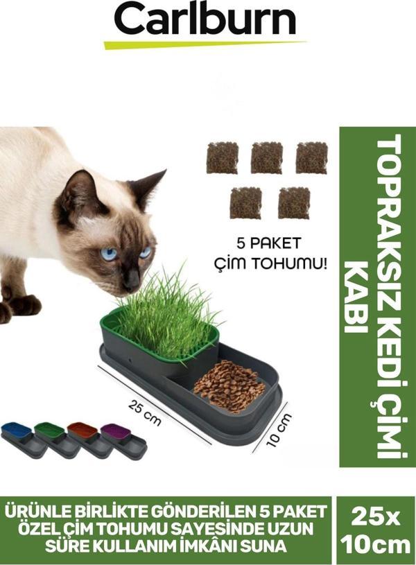 Özel Üretim 5 Adet Kedi Çimi Tohumu Topraksız Kedi Çimi Kabı 25x10cm - Image 1