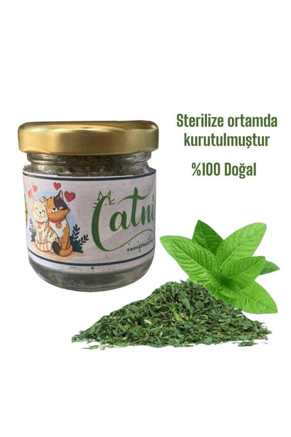 Vet Advice Catnip Kedi Otu Kurutulmuş %100 Doğal Kedi Sakinleştirici - Image 1