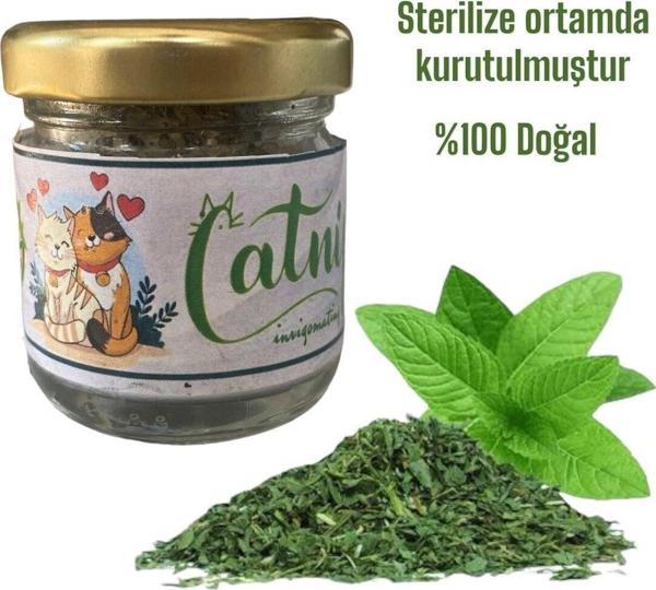 Vet Advice Catnip Kedi Otu Kurutulmuş %100 Doğal Kedi Sakinleştirici - Image 1