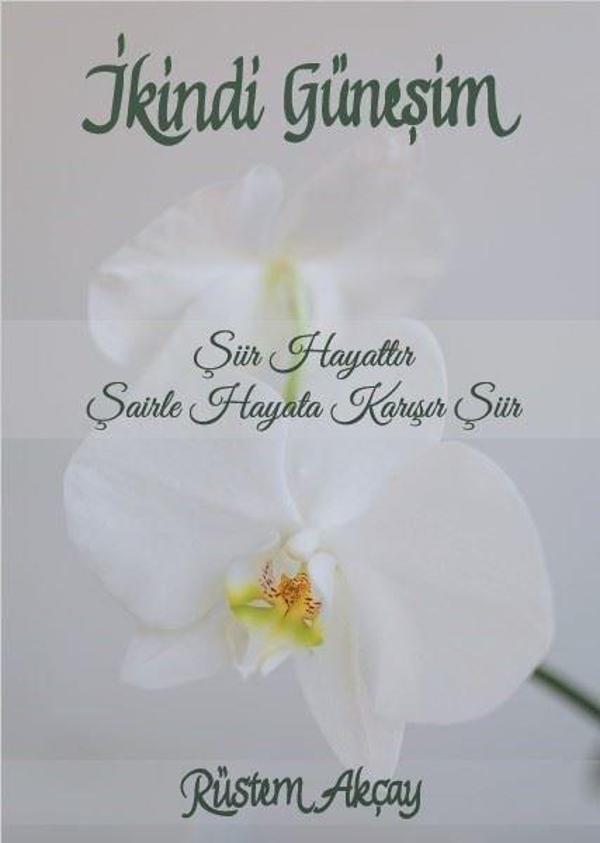 İkindi Güneşim - Liman Yayınevi - Image 1