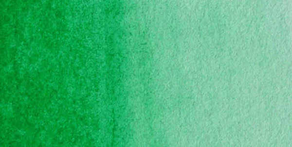 Maimeri Blu 1/2 Tablet Sulu Boya S1 No:340 Permanent Green Deep - Image 1