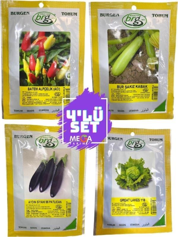Bursa Tohum 4'Lü Tohum Seti Mega Tarım ( Cin Biber- Sakız Kabak-Uzun Patlican-Top Marul) 10 Gr'Lık Paket - Image 1