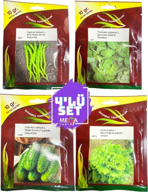 İstanbul Tohumculuk 4'Lü Tohum Seti ( Acı Kıl Biber- İri Semizotu-Turşuluk Hıyar-Kışlık Kıvırcık Marul) 10 Gr'Lık Paket - Image 1